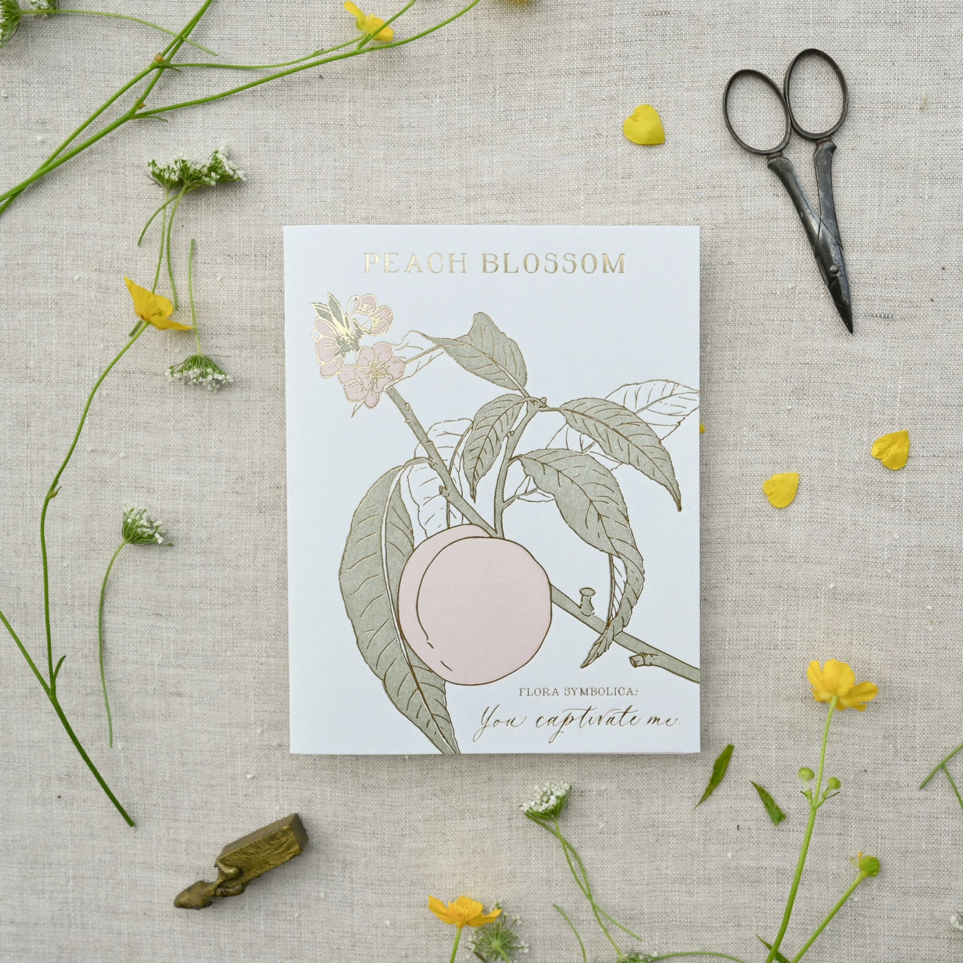 Peach Blossom - Language of Flowers Card