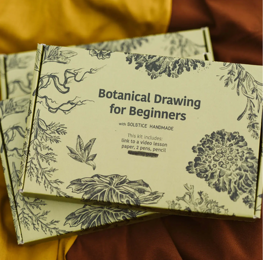 Botanical Drawing For Beginners