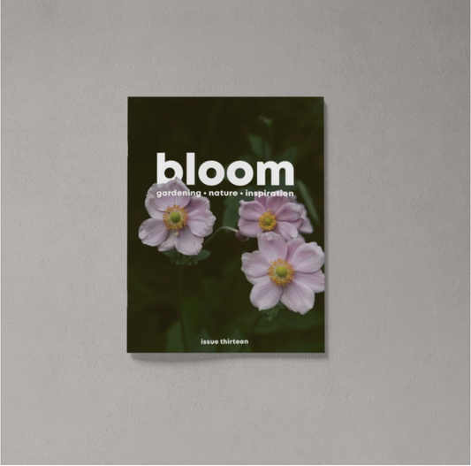 Bloom Magazine - Issue 13