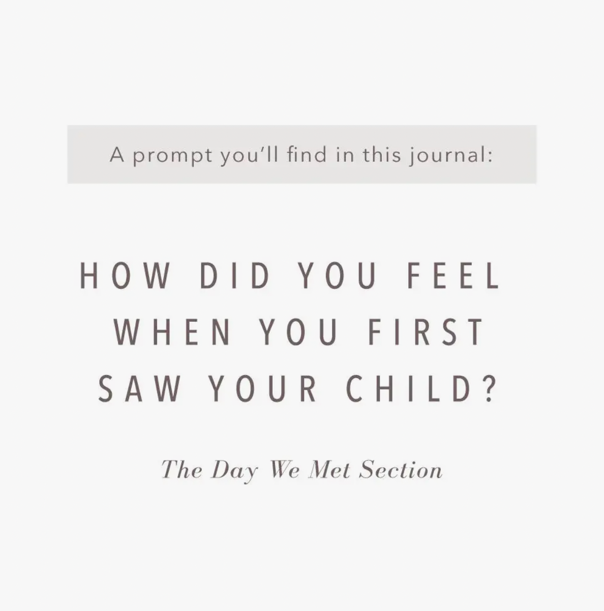 Complete Childhood\Adoption History Journal - Promptly