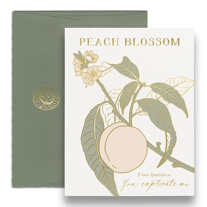 Peach Blossom - Language of Flowers Card