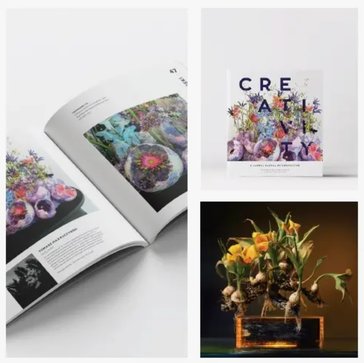 Creative - A Global Floral Introspective