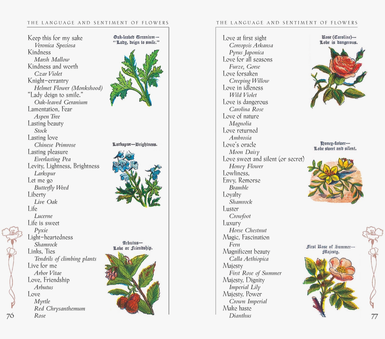 The Language and Sentiment of Flowers